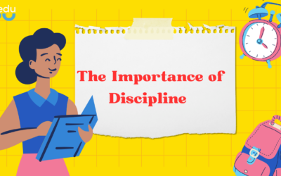 How to Make the Importance of Discipline a Habit for Your Child