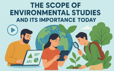 The Scope of Environmental Studies and Its Importance Today