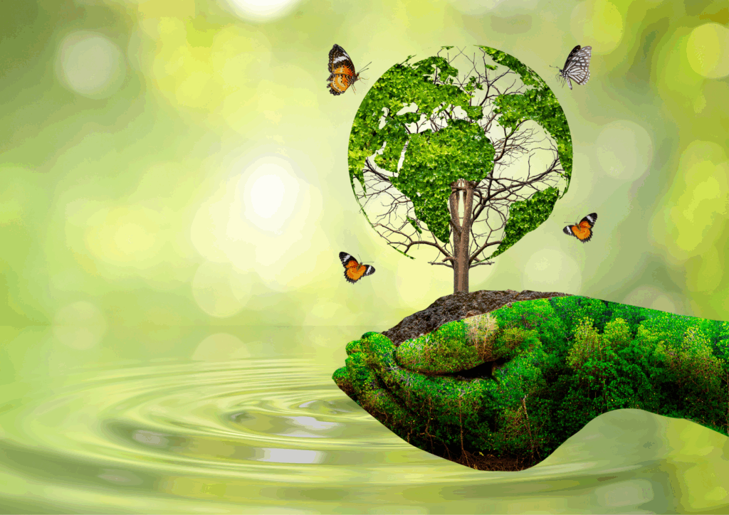 Environmental Awareness: Importance & Student Actions